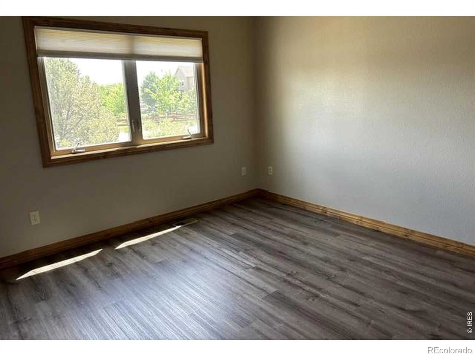 MLS Image #11 for 1986 e seadrift drive,windsor, Colorado