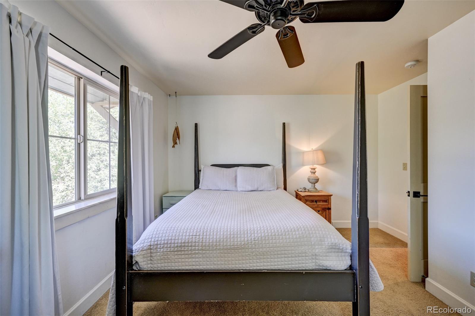 MLS Image #41 for 430  crossman avenue,buena vista, Colorado