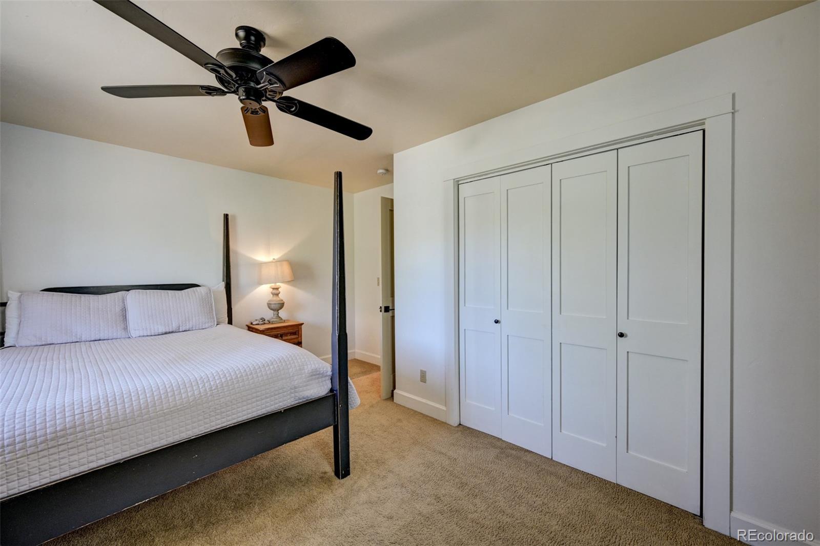 MLS Image #42 for 430  crossman avenue,buena vista, Colorado