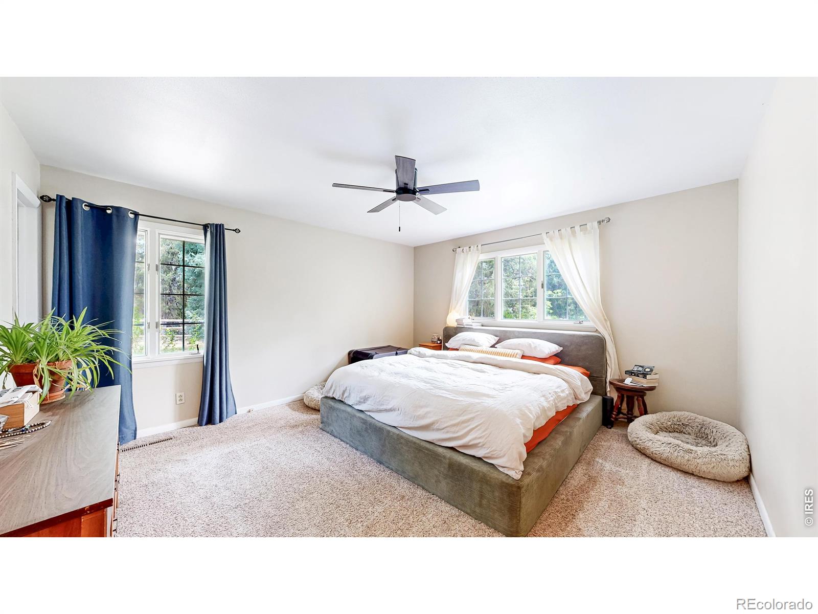 MLS Image #11 for 3228 n shields street,fort collins, Colorado