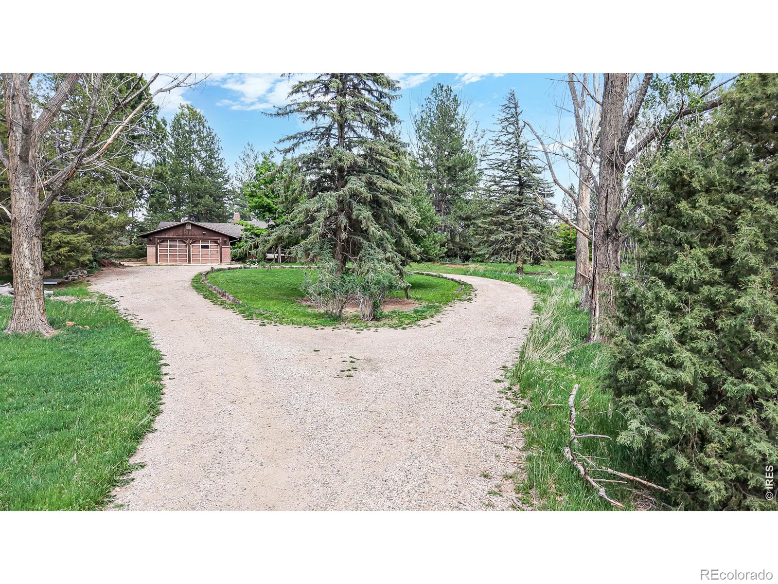 MLS Image #2 for 3228 n shields street,fort collins, Colorado