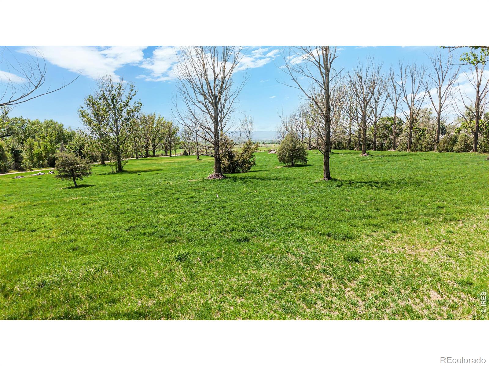 MLS Image #30 for 3228 n shields street,fort collins, Colorado