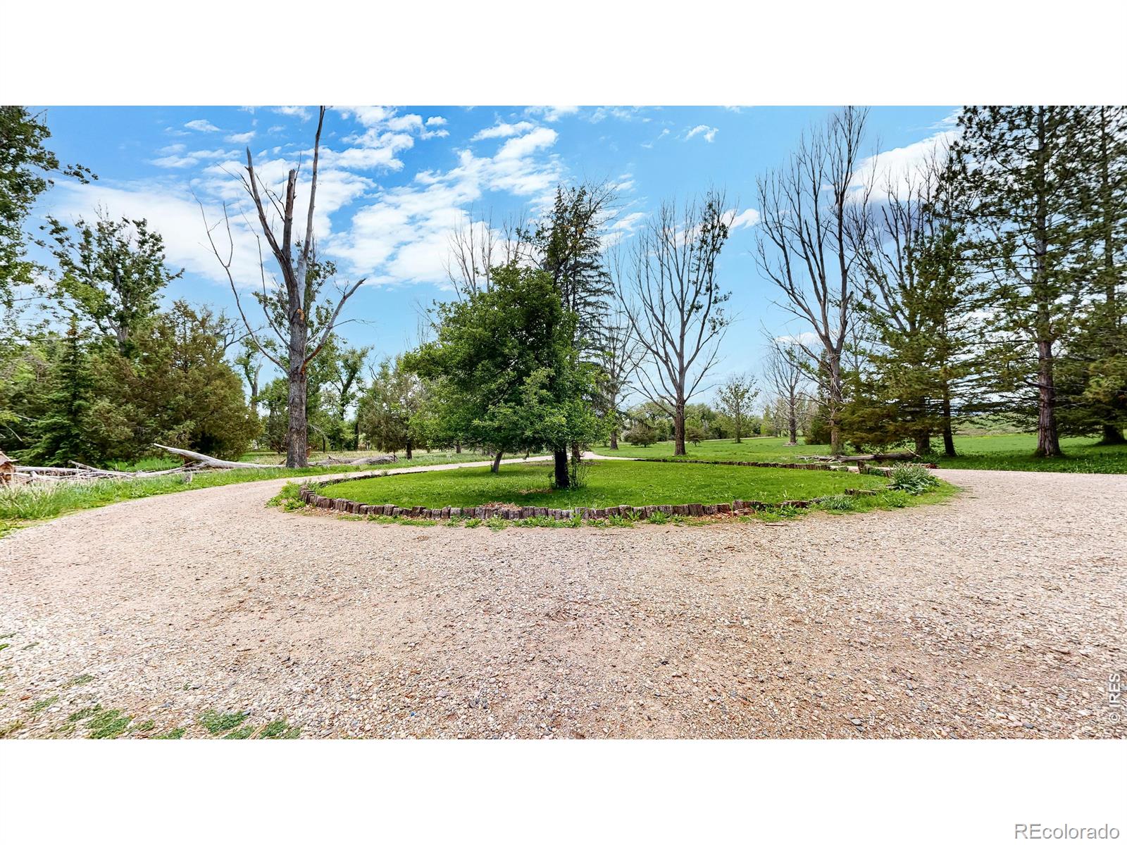 MLS Image #31 for 3228 n shields street,fort collins, Colorado