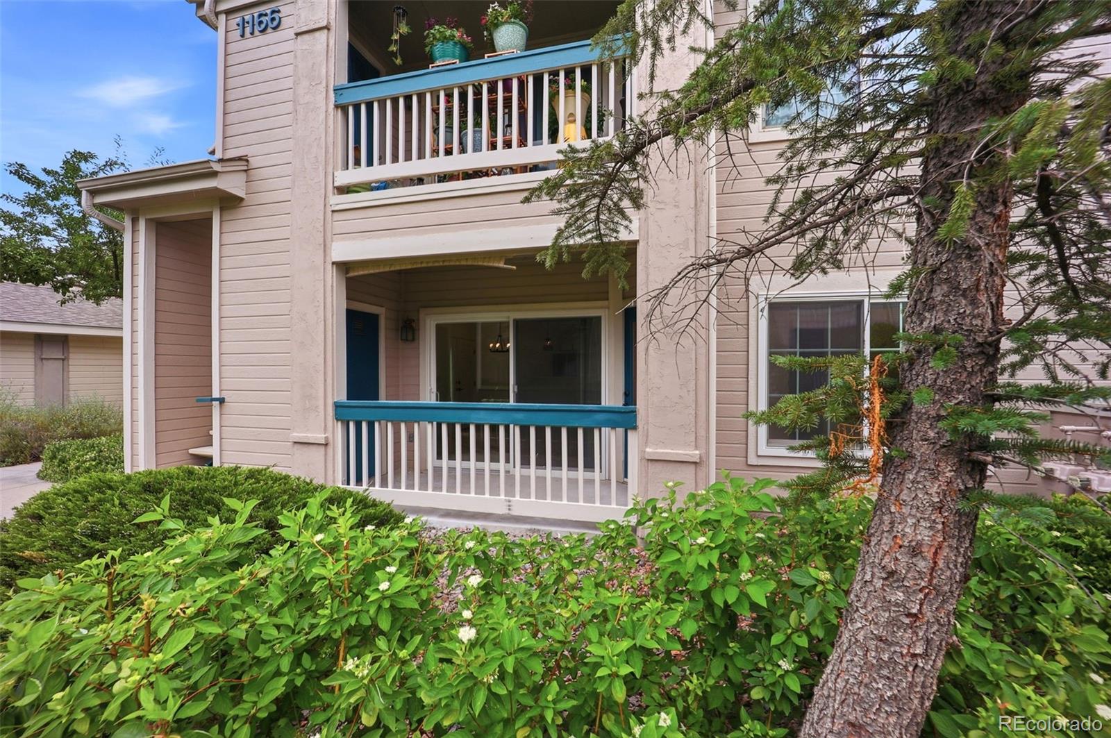 MLS Image #3 for 1166  opal street,broomfield, Colorado