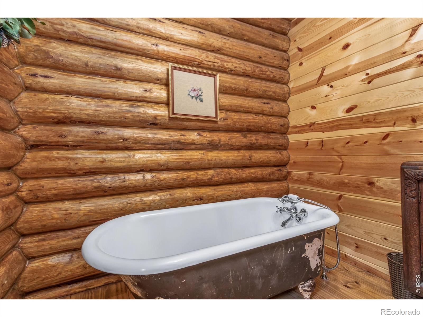 MLS Image #21 for 3967 n county road 73c ,red feather lakes, Colorado