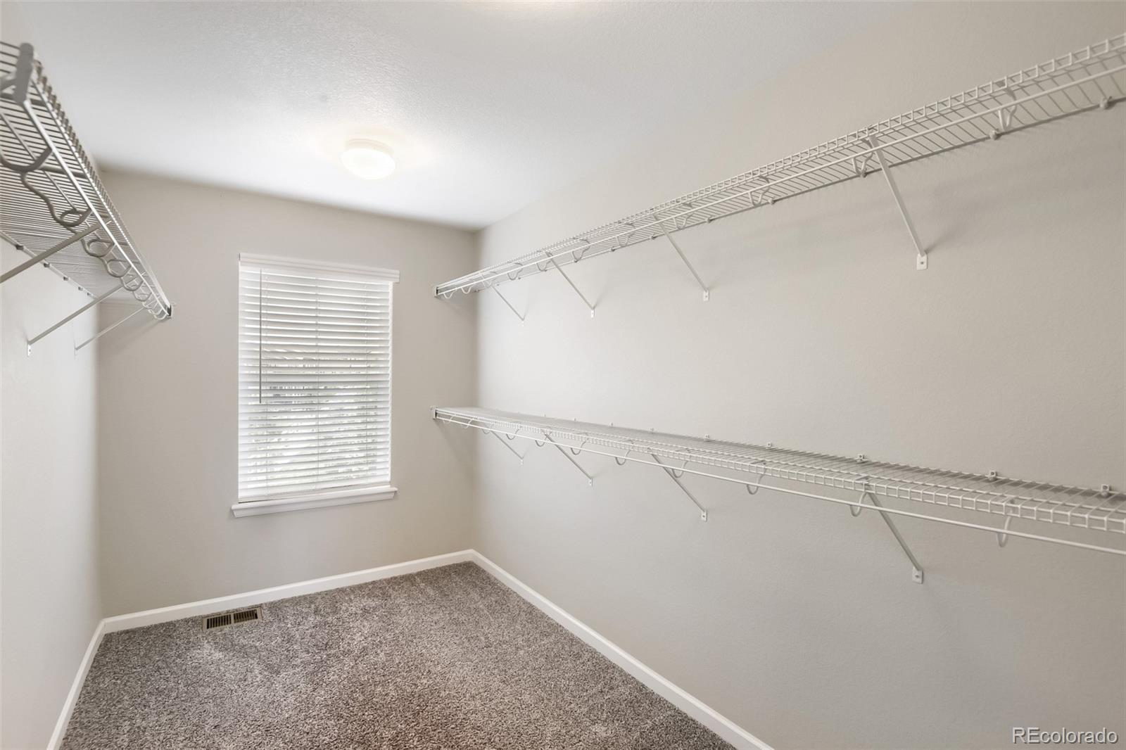 MLS Image #12 for 3378  shoveler trail,castle rock, Colorado
