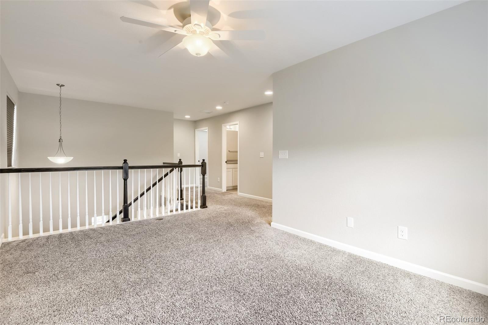 MLS Image #15 for 3378  shoveler trail,castle rock, Colorado