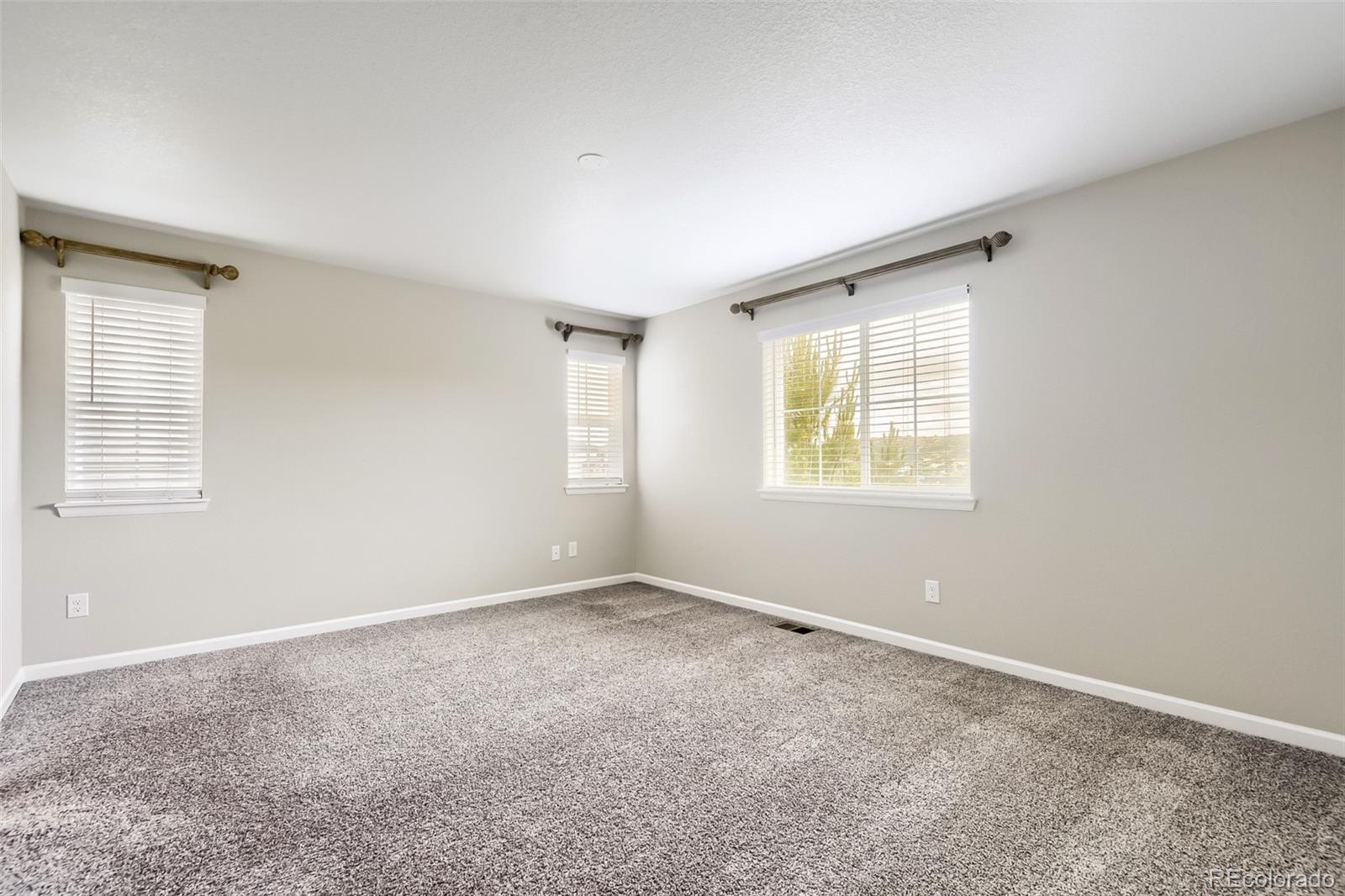 MLS Image #20 for 3378  shoveler trail,castle rock, Colorado