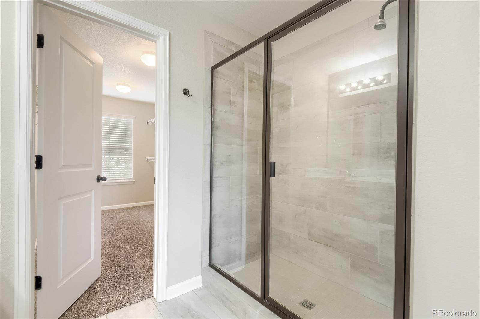 MLS Image #24 for 3378  shoveler trail,castle rock, Colorado
