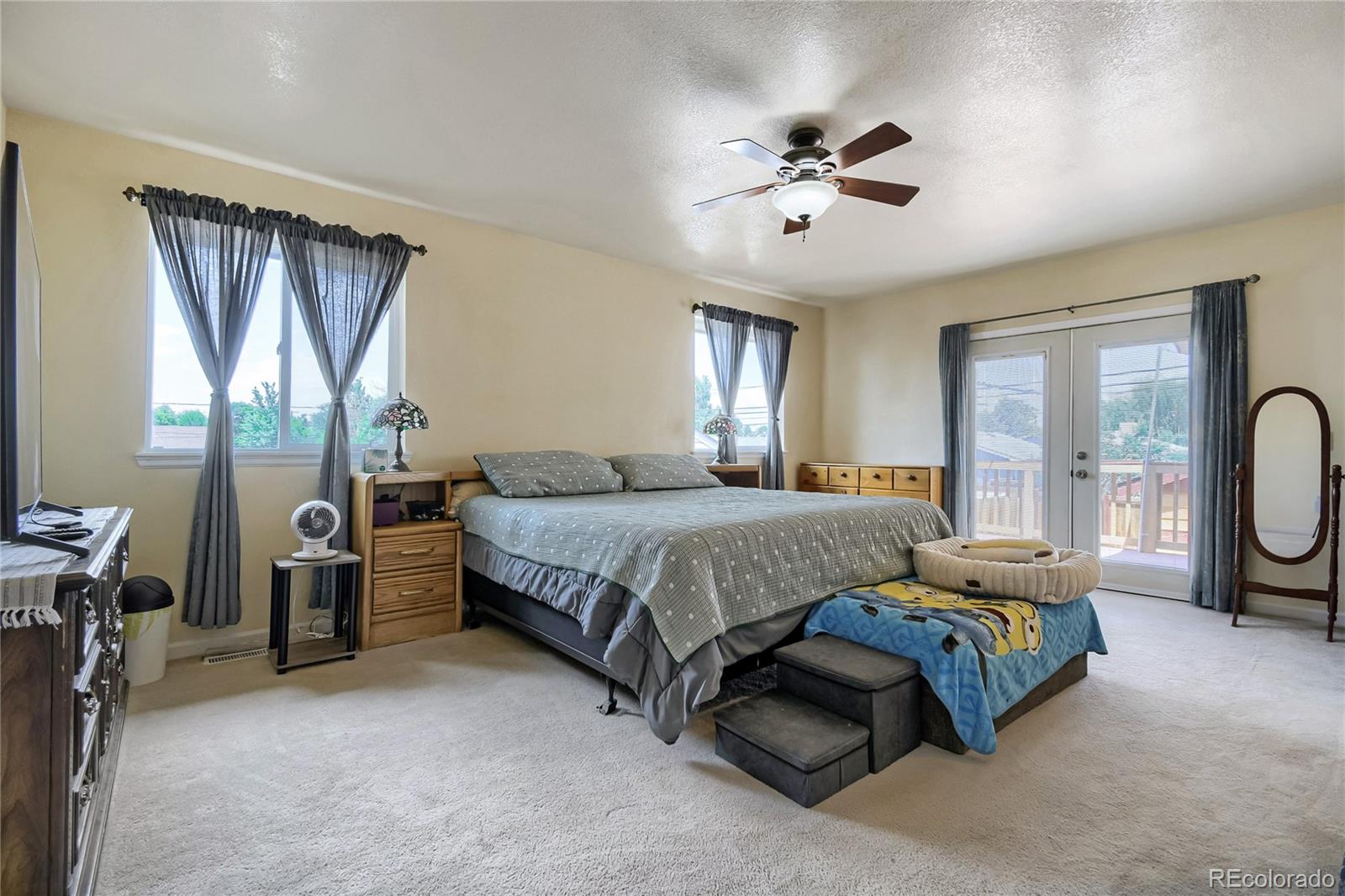 MLS Image #6 for 180 n 9th avenue,brighton, Colorado