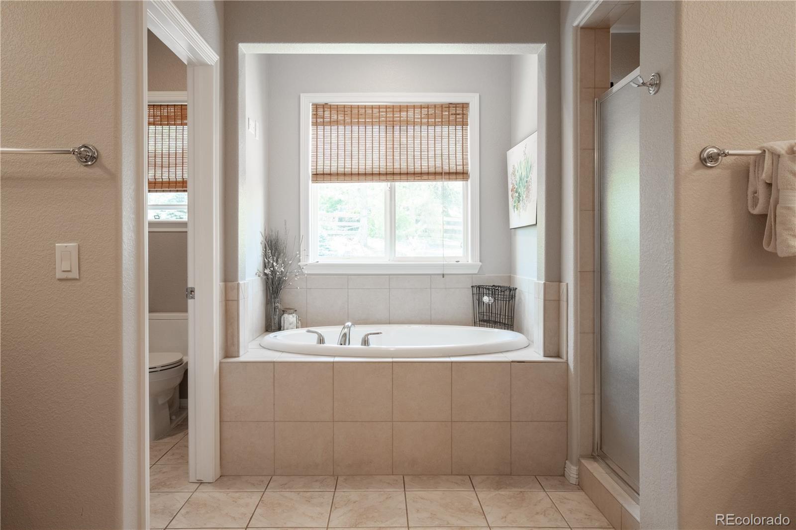 MLS Image #29 for 2550  shadecrest place,littleton, Colorado