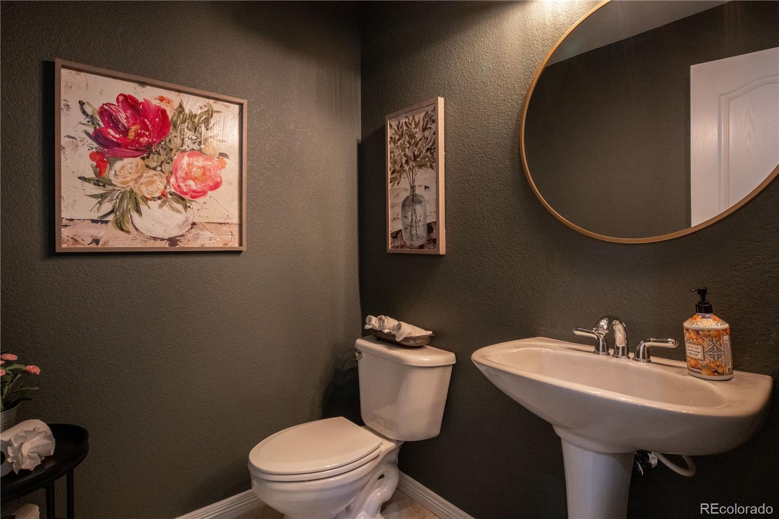 MLS Image #7 for 2550  shadecrest place,littleton, Colorado