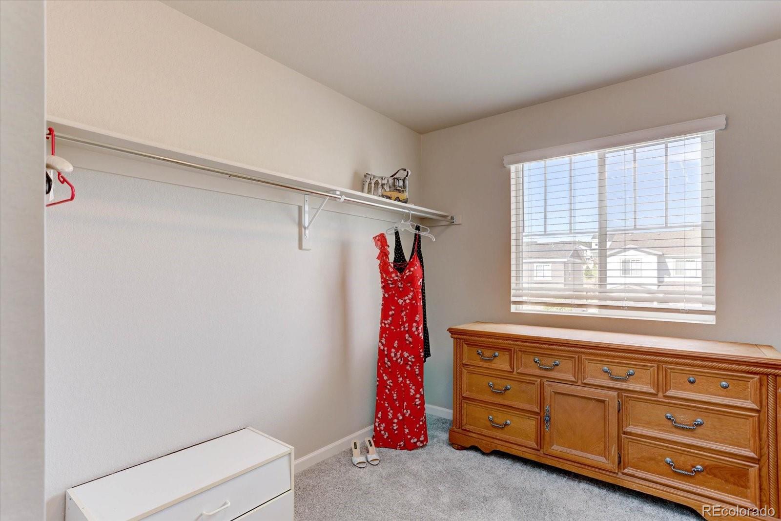 MLS Image #17 for 1958  villageview lane,castle rock, Colorado