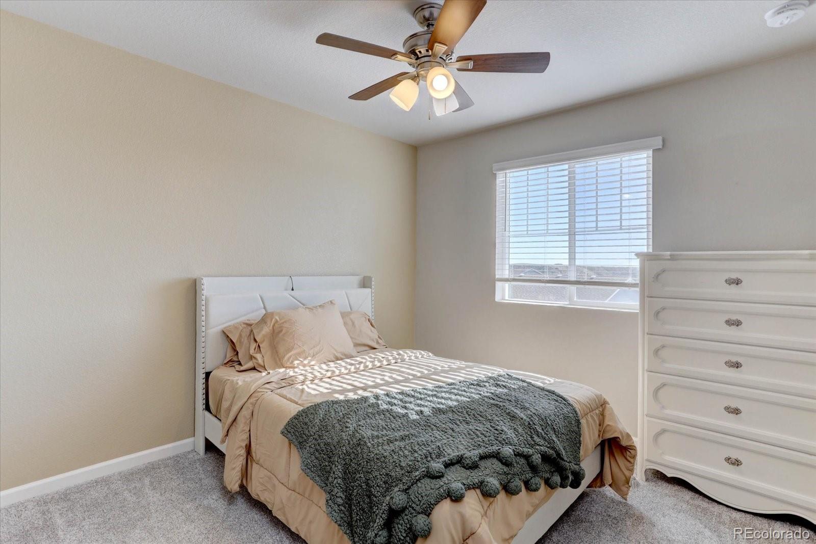 MLS Image #18 for 1958  villageview lane,castle rock, Colorado