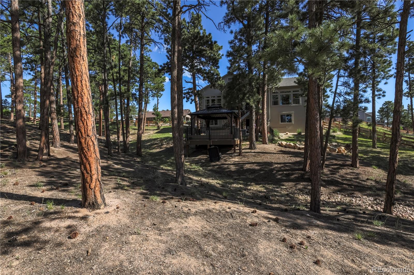 MLS Image #32 for 16021  fox mesa court,monument, Colorado