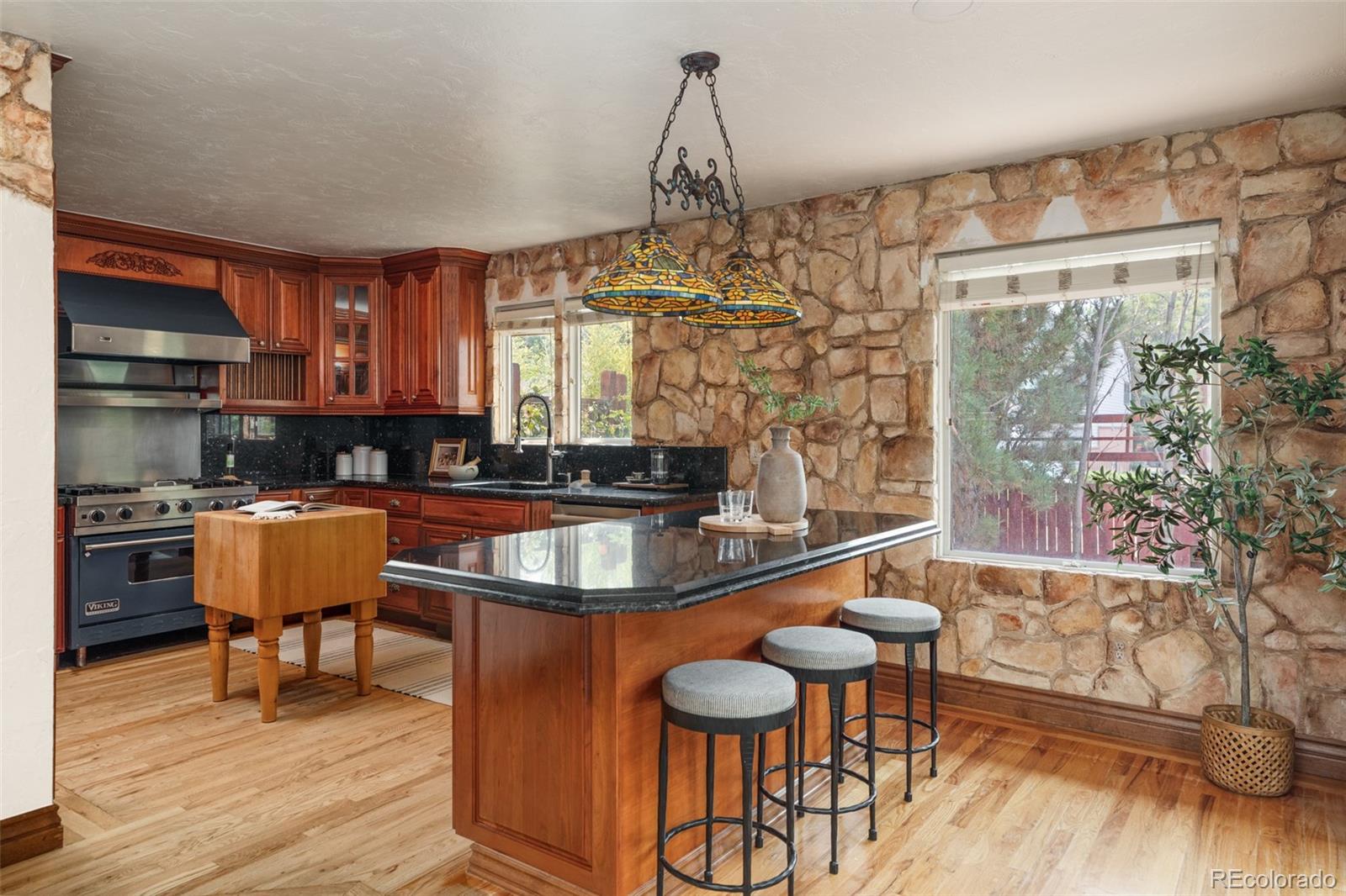 MLS Image #9 for 88 w irvington place,denver, Colorado