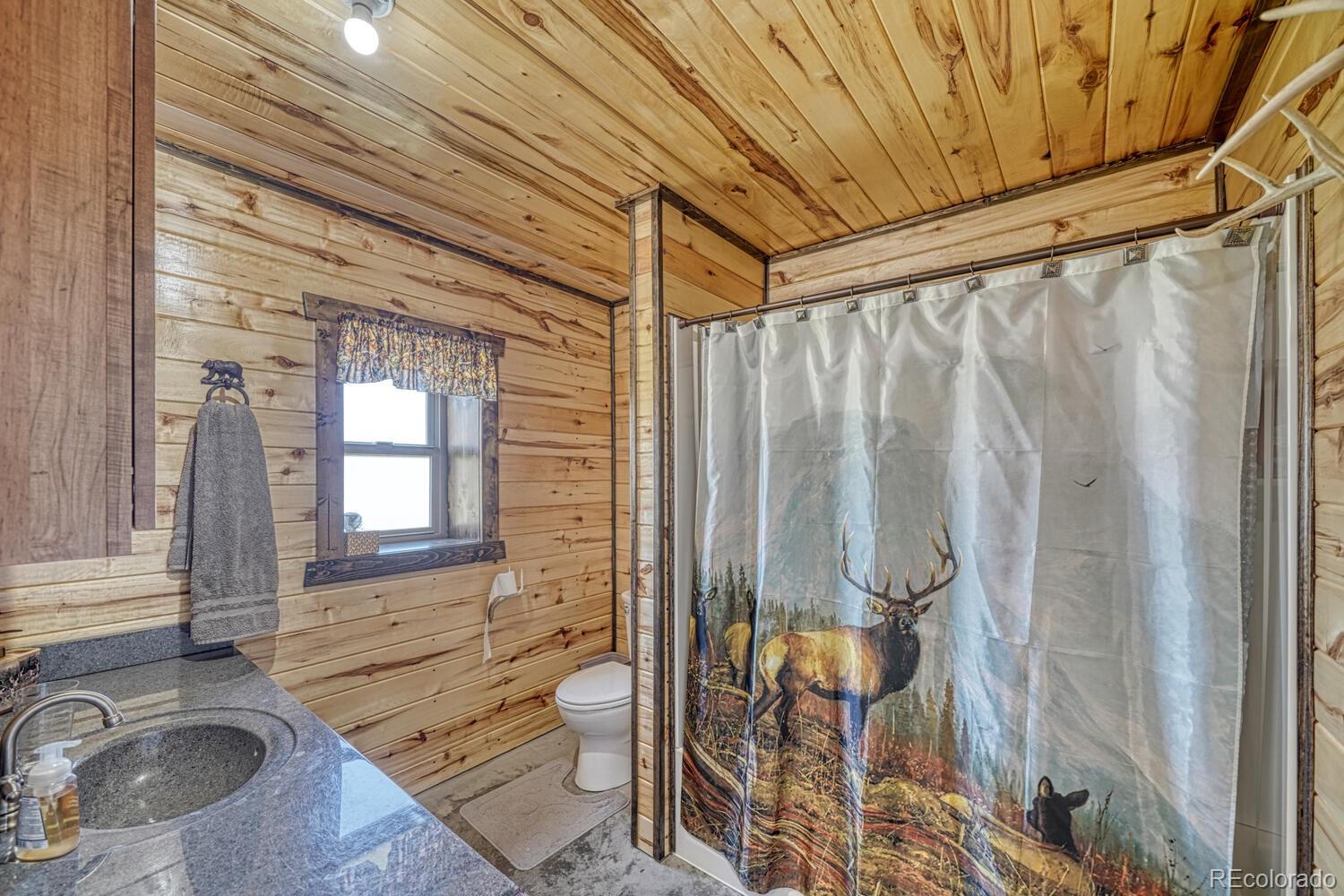 MLS Image #21 for 143  jester court ,westcliffe, Colorado