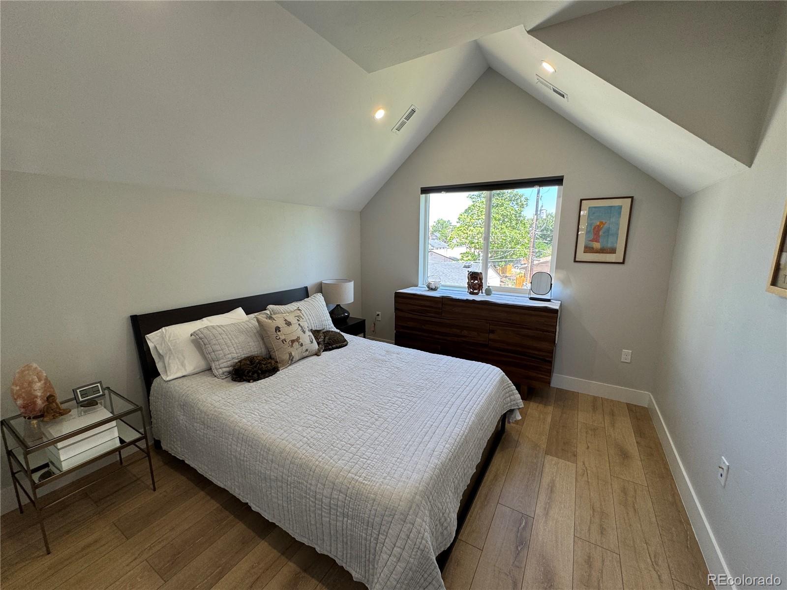 MLS Image #21 for 3908  mariposa street,denver, Colorado