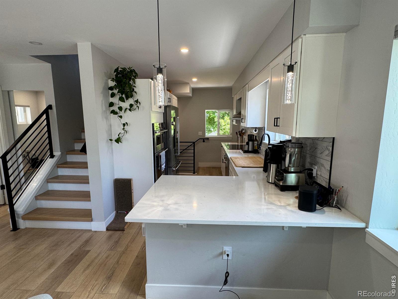 MLS Image #10 for 3908  mariposa street,denver, Colorado