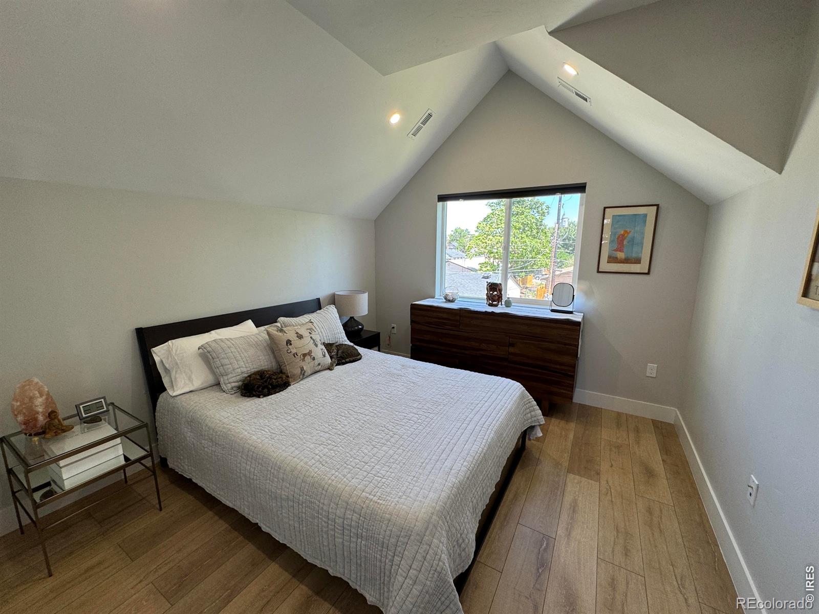 MLS Image #21 for 3908  mariposa street,denver, Colorado