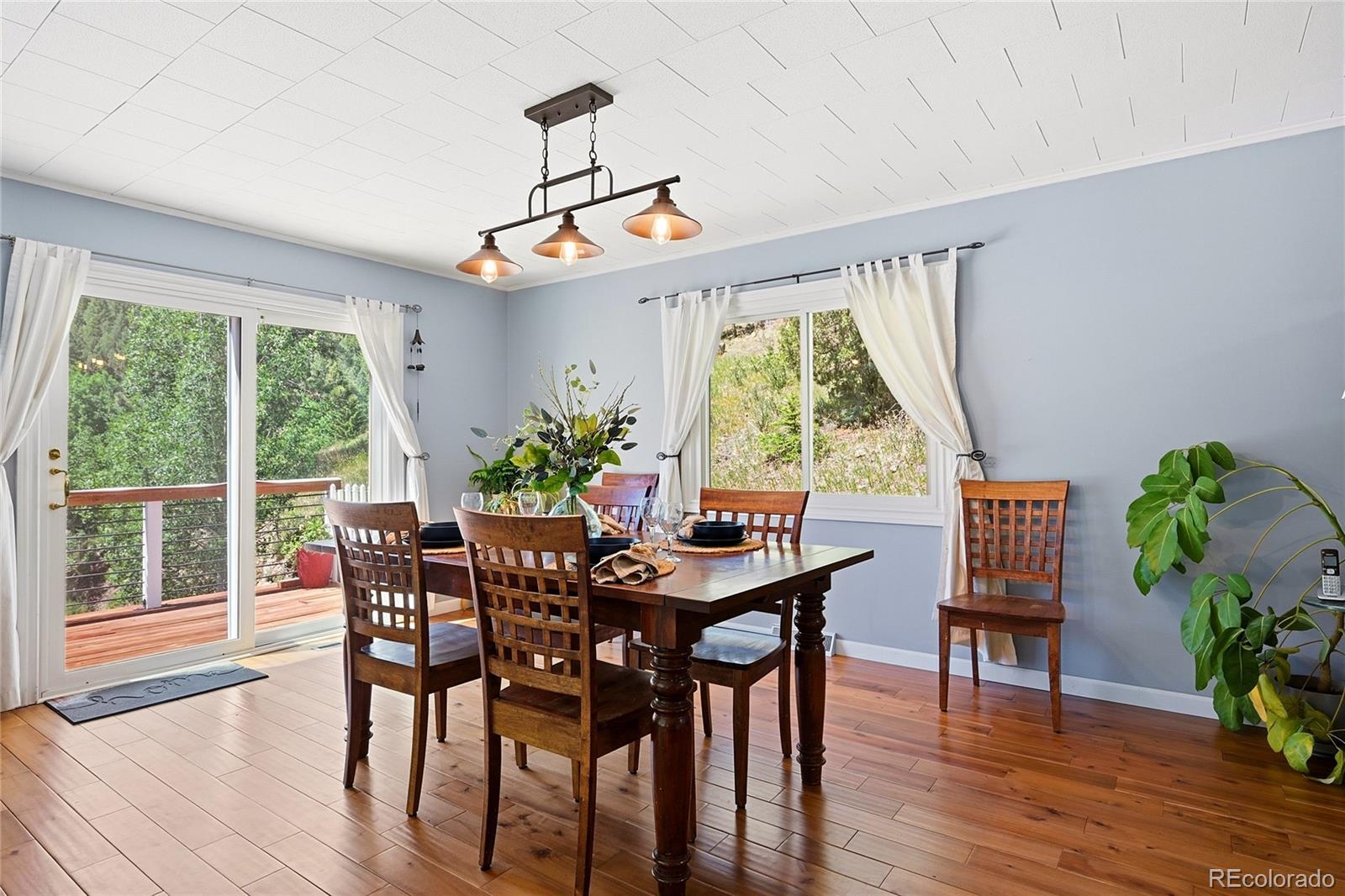 MLS Image #10 for 427  brookside drive,bailey, Colorado