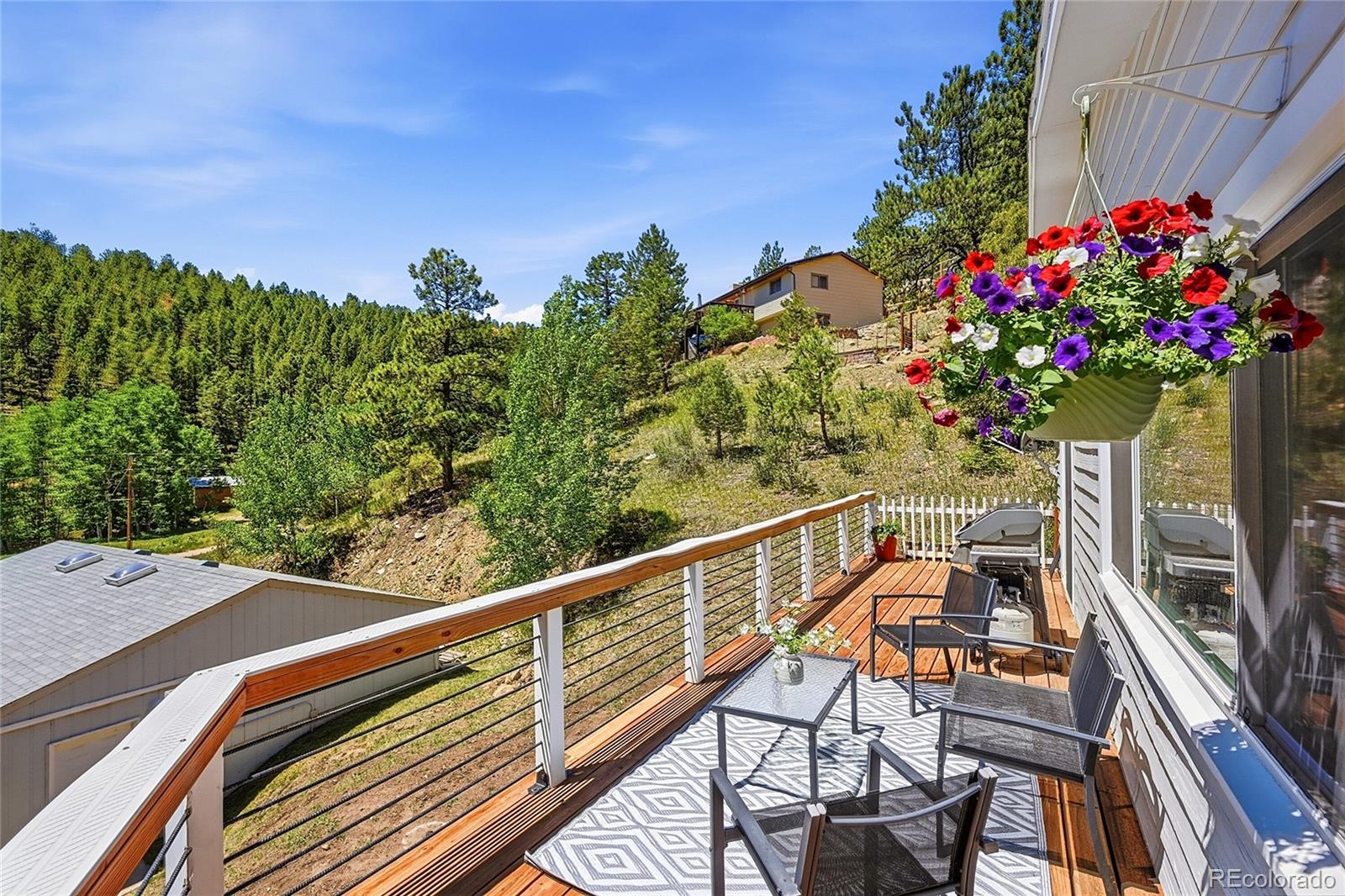 MLS Image #13 for 427  brookside drive,bailey, Colorado