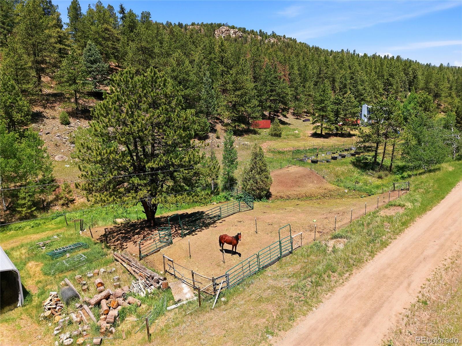 MLS Image #19 for 427  brookside drive,bailey, Colorado