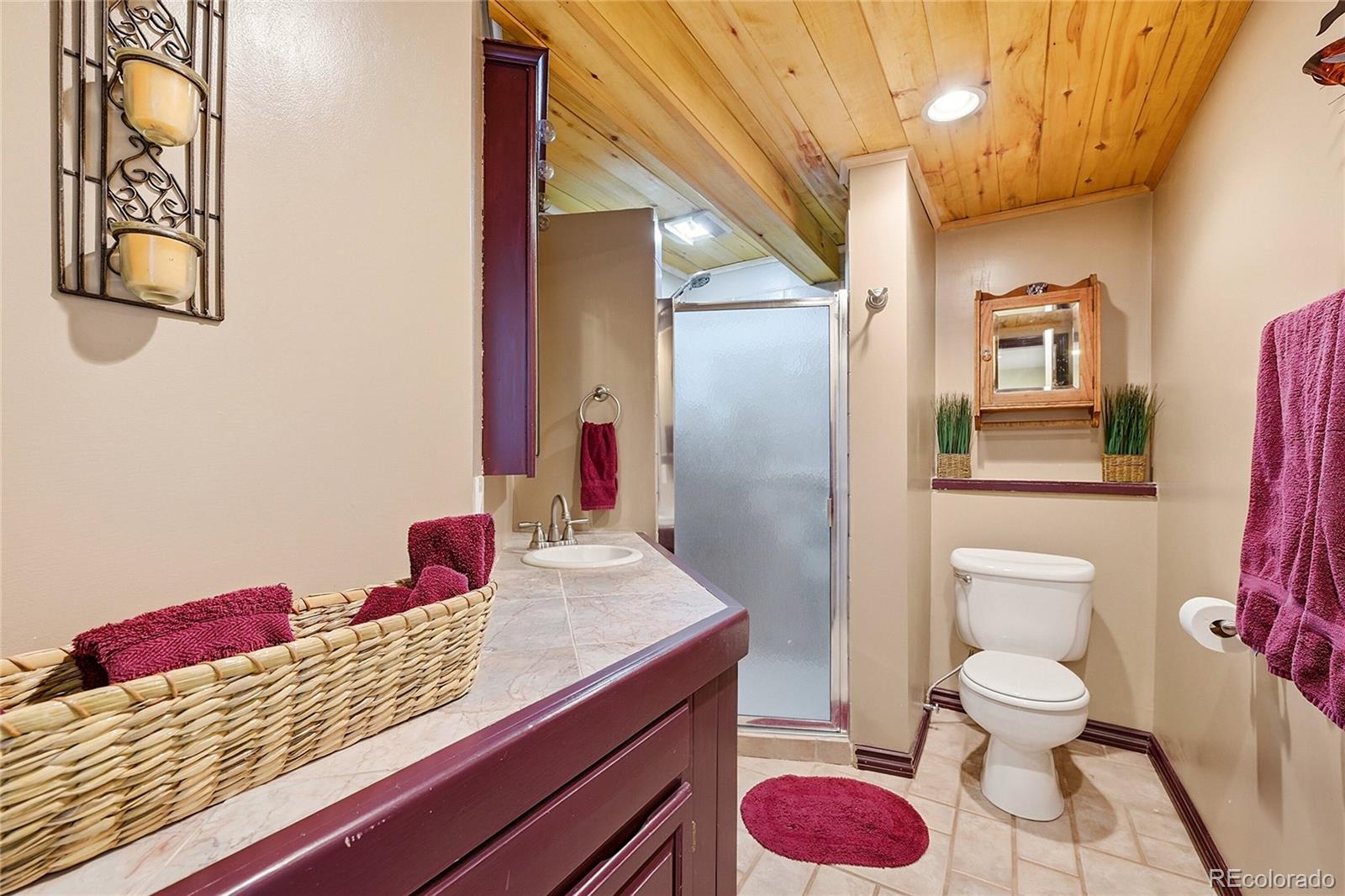 MLS Image #23 for 427  brookside drive,bailey, Colorado