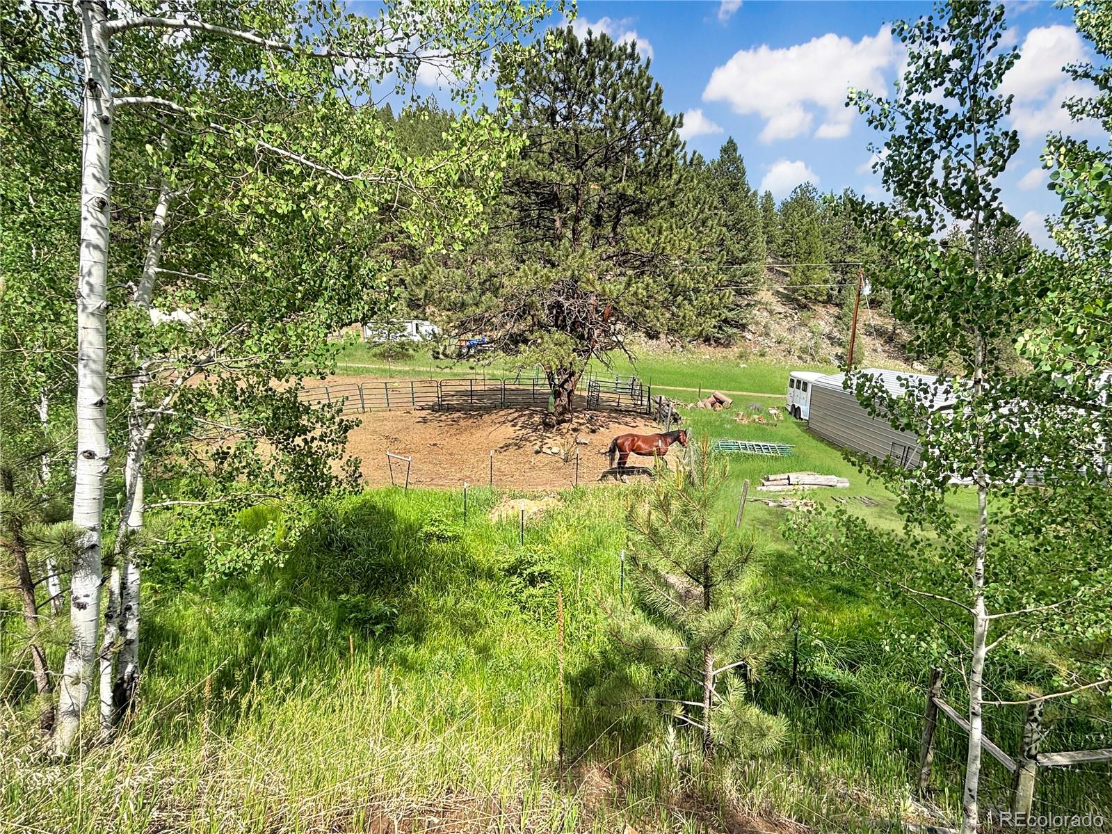 MLS Image #3 for 427  brookside drive,bailey, Colorado