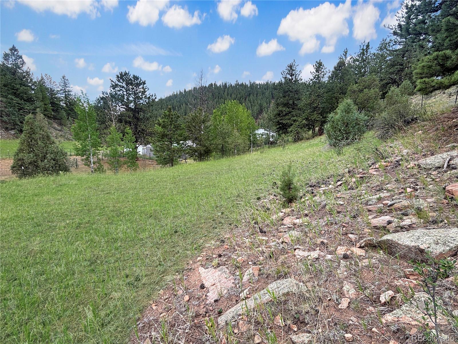 MLS Image #5 for 427  brookside drive,bailey, Colorado