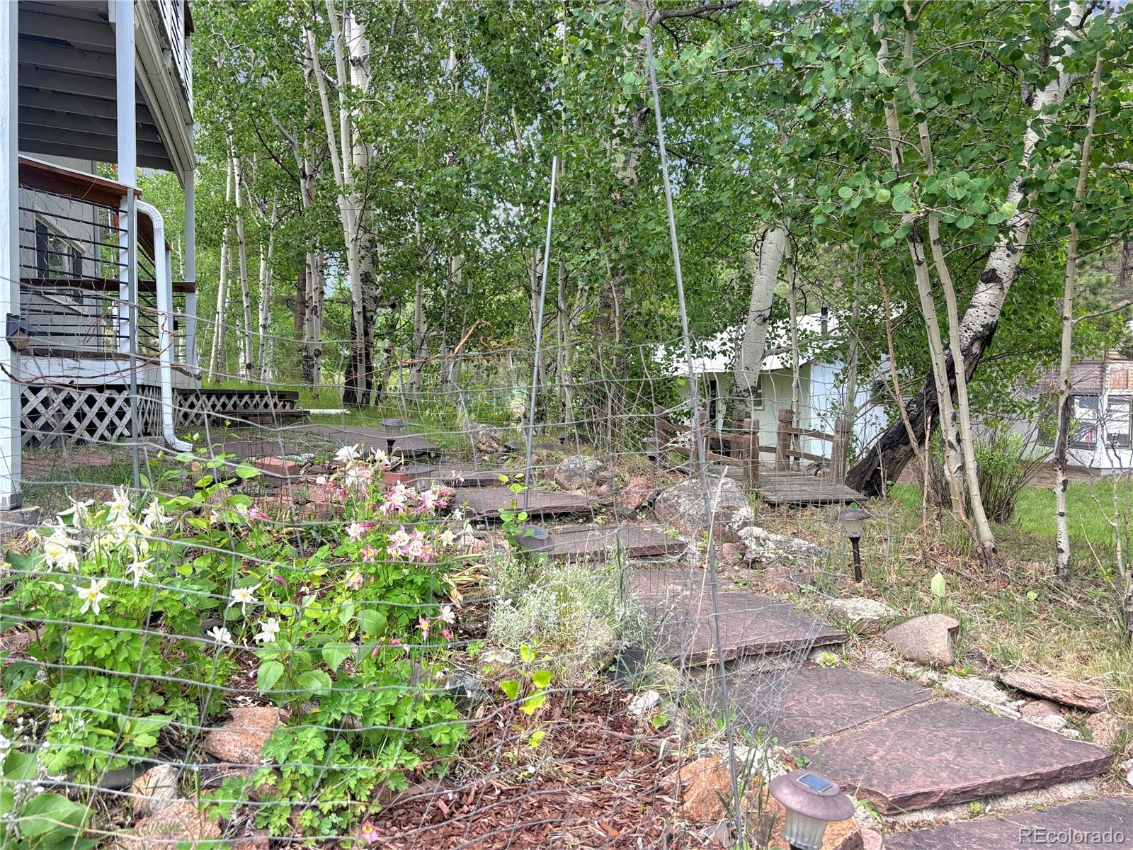 MLS Image #7 for 427  brookside drive,bailey, Colorado