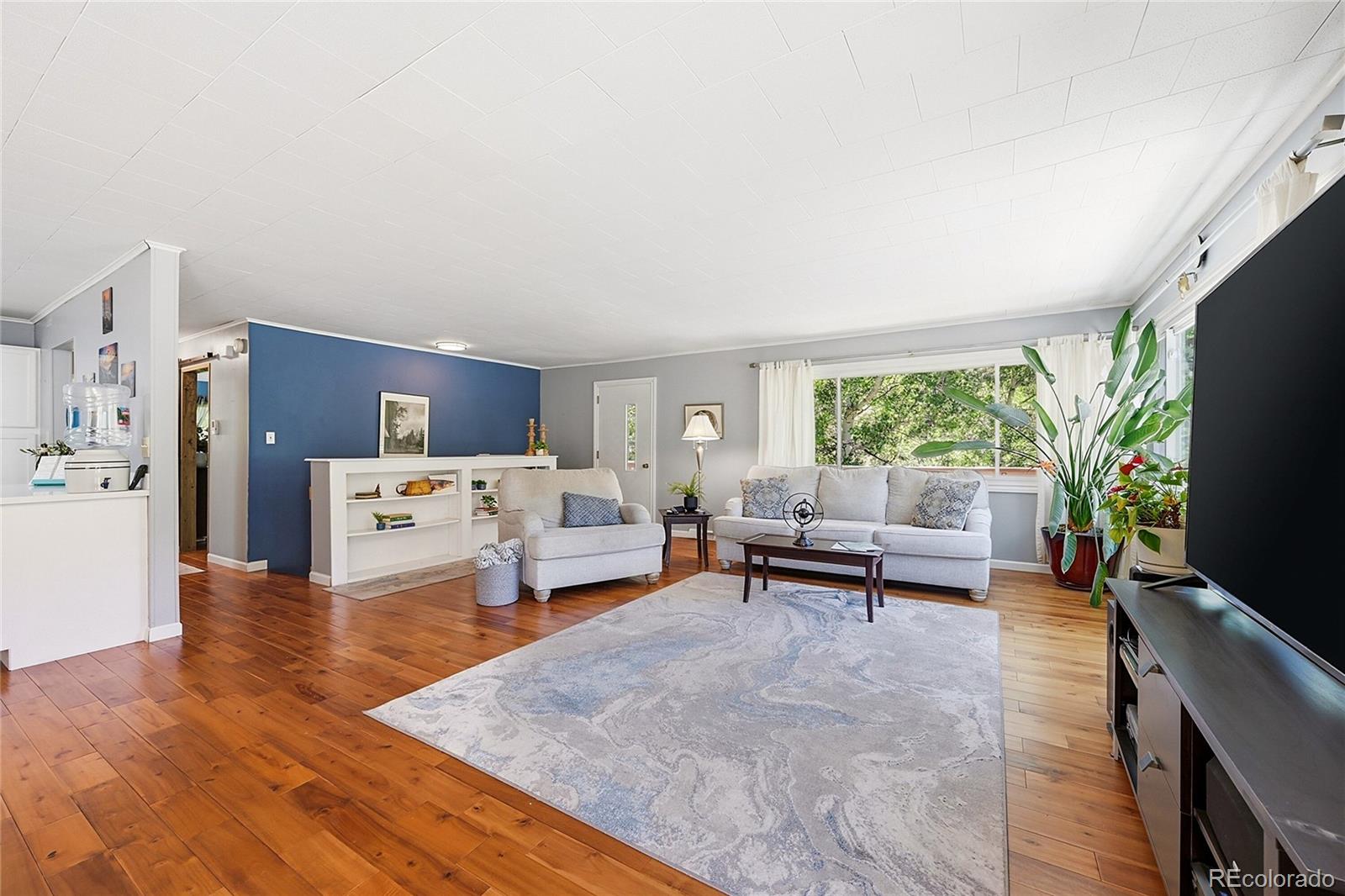 MLS Image #9 for 427  brookside drive,bailey, Colorado
