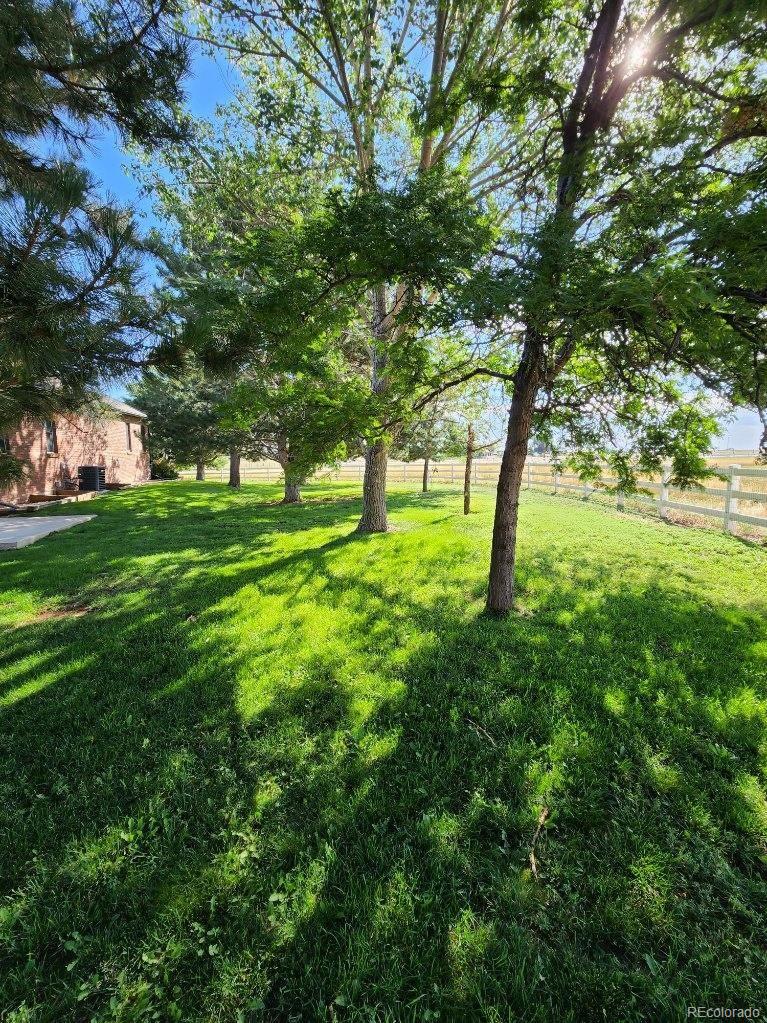 MLS Image #31 for 5106  lebsack lane,loveland, Colorado