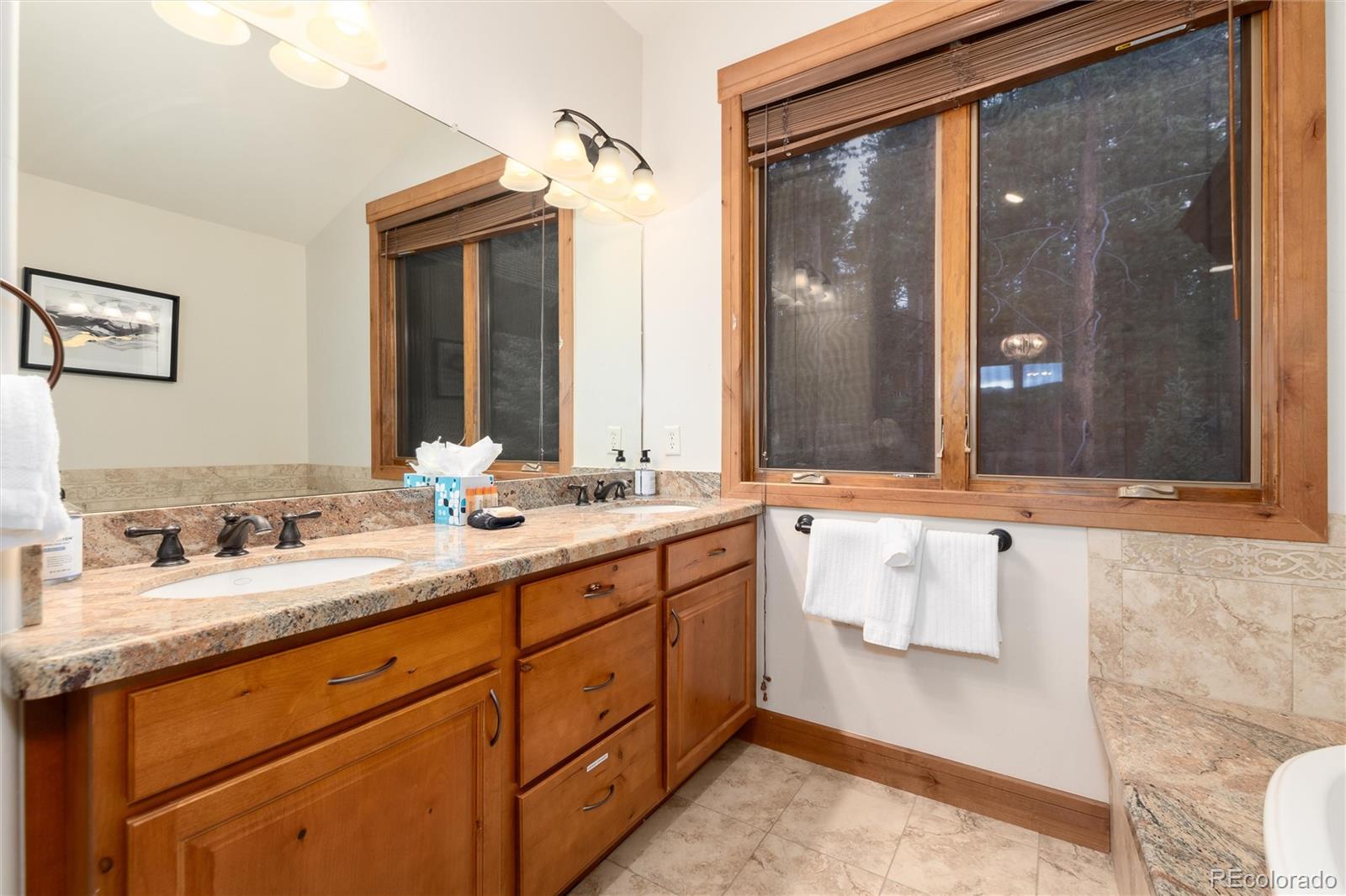 MLS Image #30 for 89  snowshoe circle,breckenridge, Colorado
