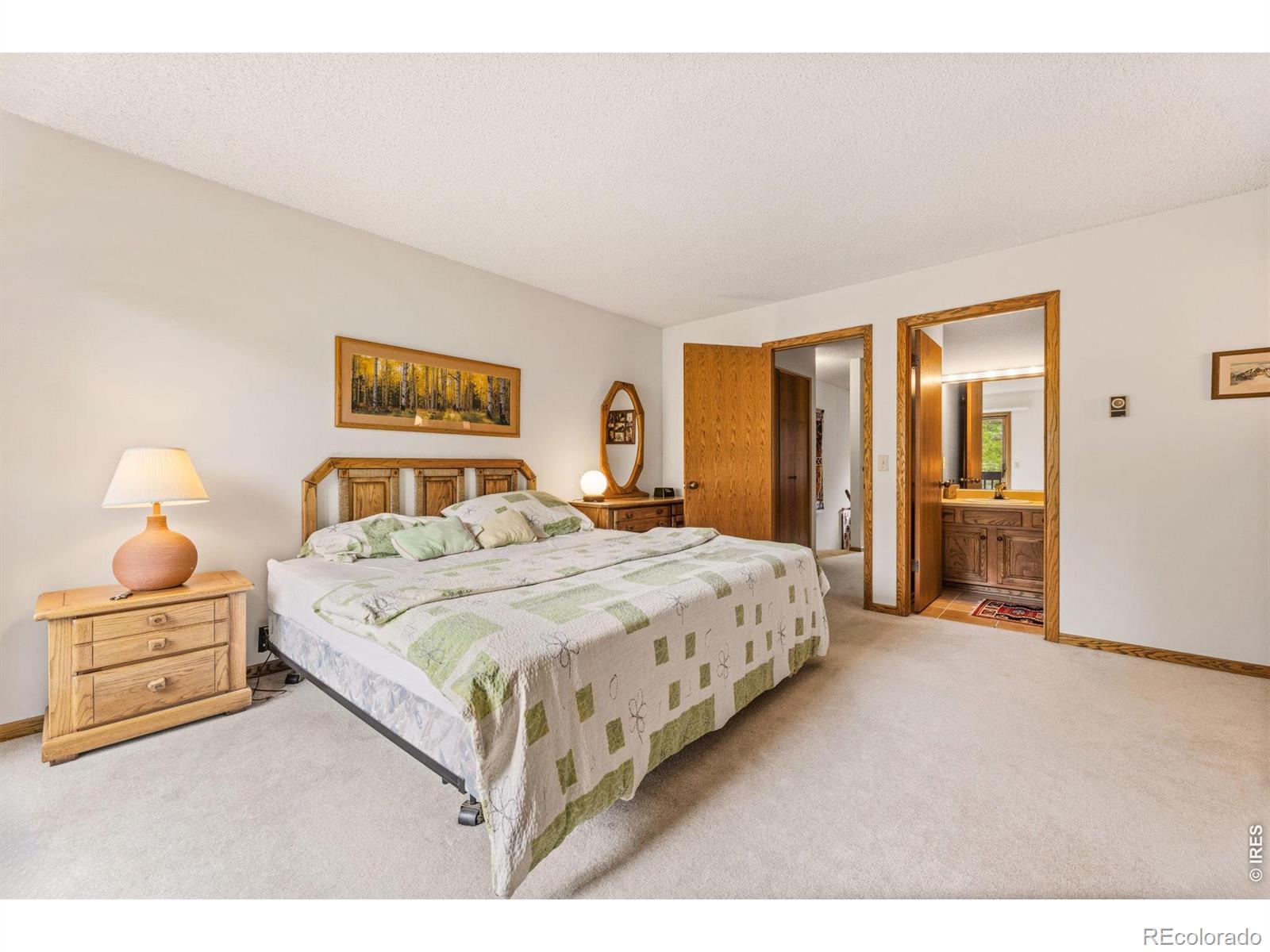 MLS Image #14 for 620  macgregor avenue,estes park, Colorado