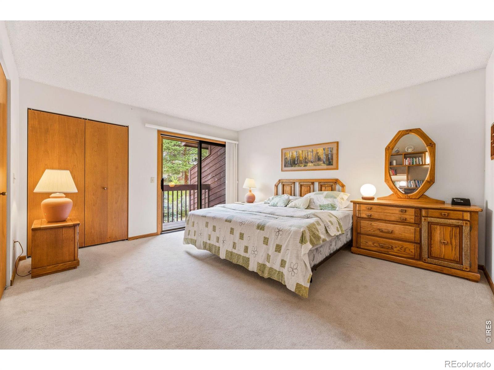 MLS Image #15 for 620  macgregor avenue,estes park, Colorado