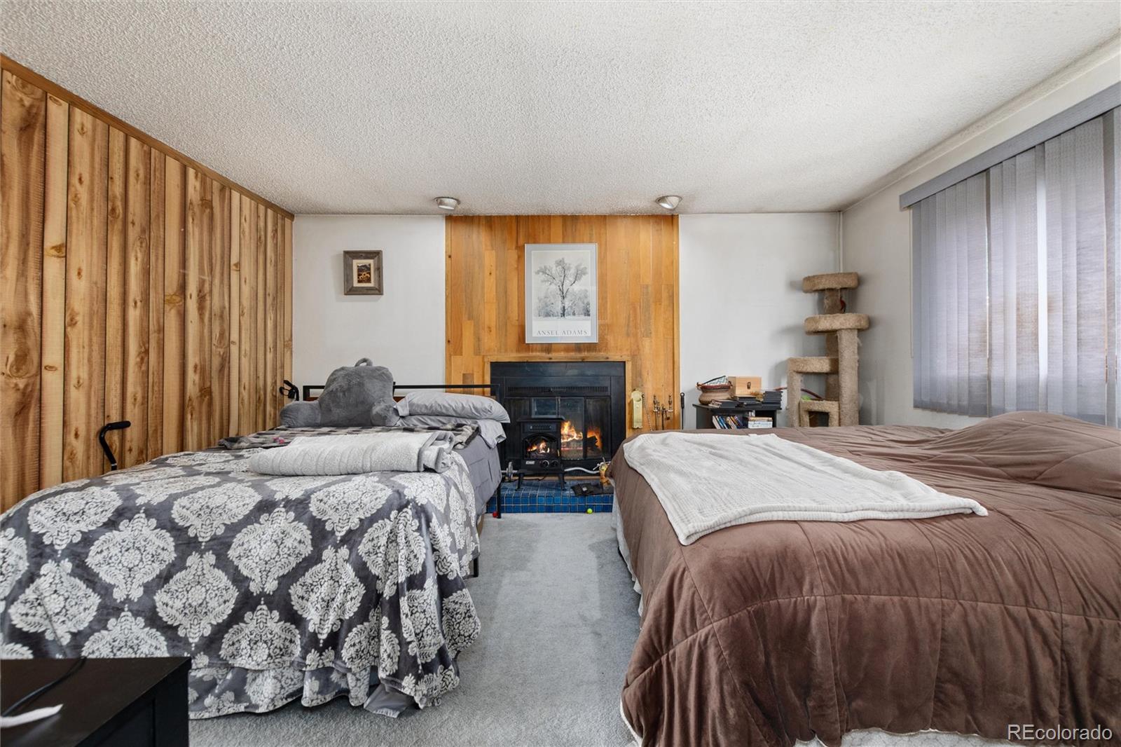 MLS Image #13 for 529  belford street,frisco, Colorado