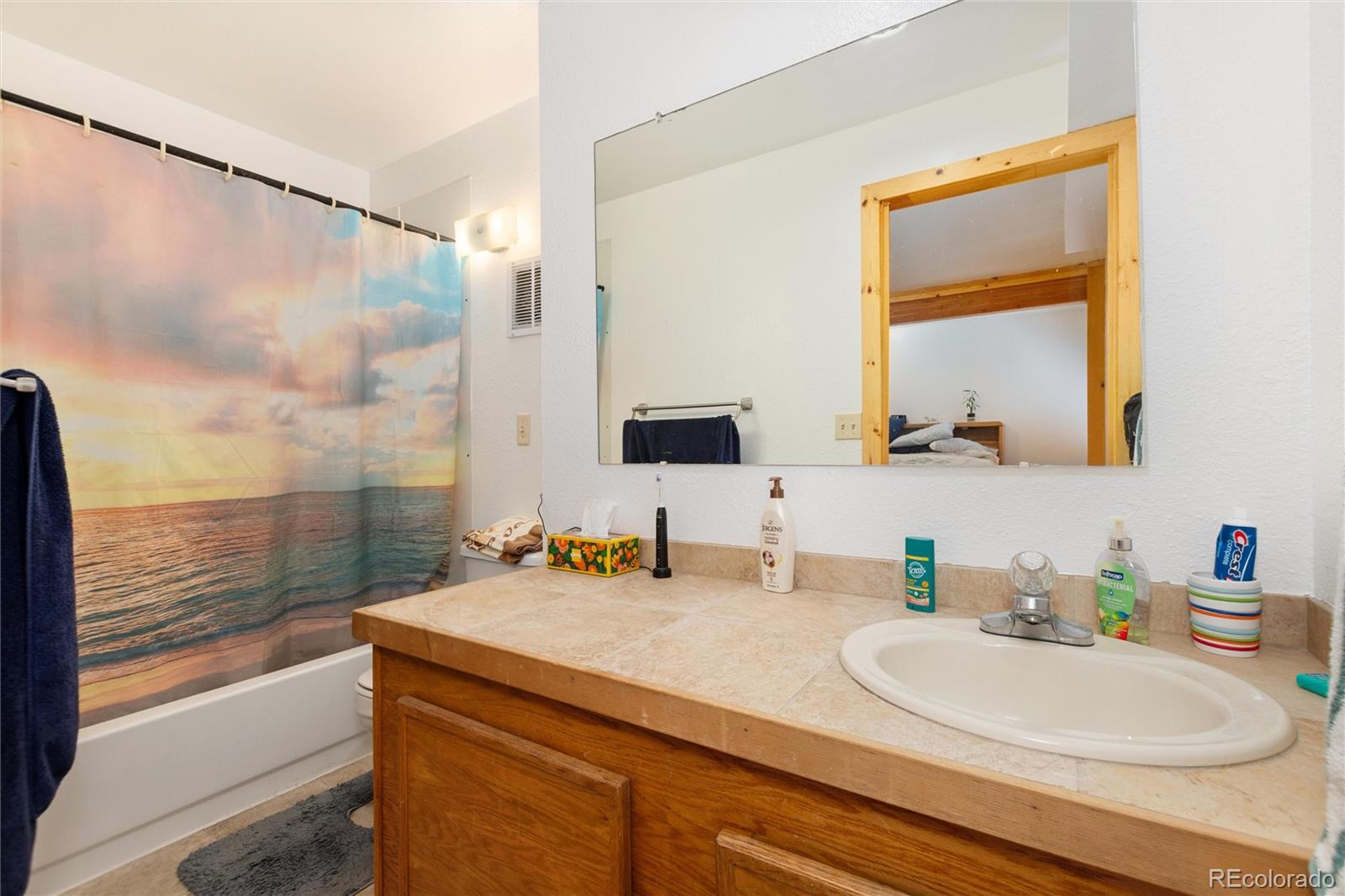 MLS Image #32 for 529  belford street,frisco, Colorado
