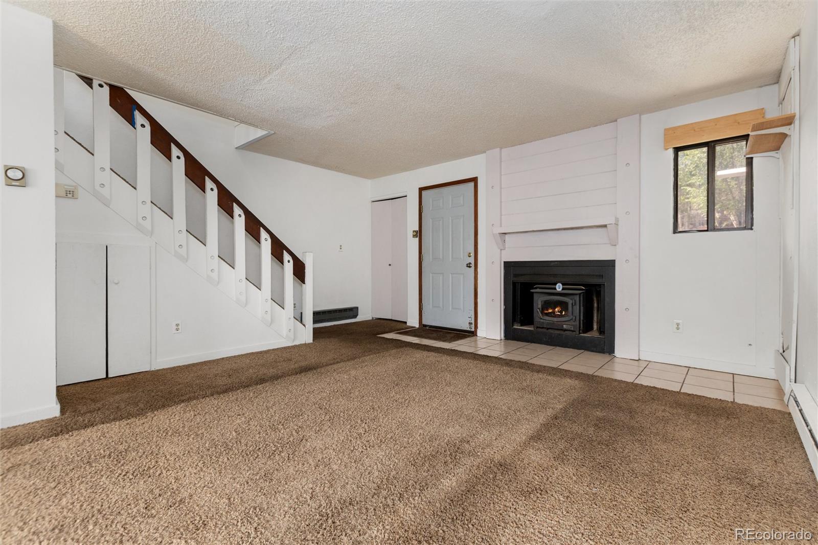 MLS Image #21 for 6922  ryan gulch road,silverthorne, Colorado