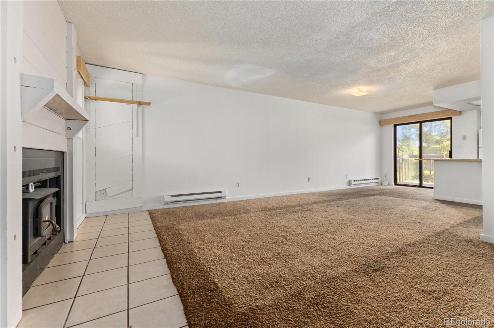 MLS Image #24 for 6922  ryan gulch road,silverthorne, Colorado