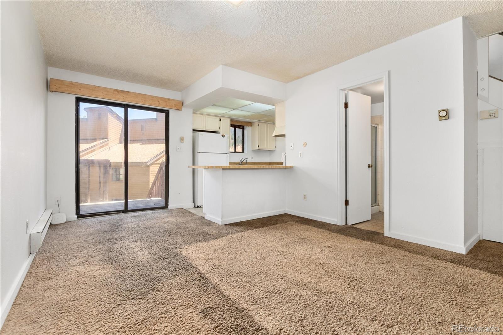MLS Image #26 for 6922  ryan gulch road,silverthorne, Colorado