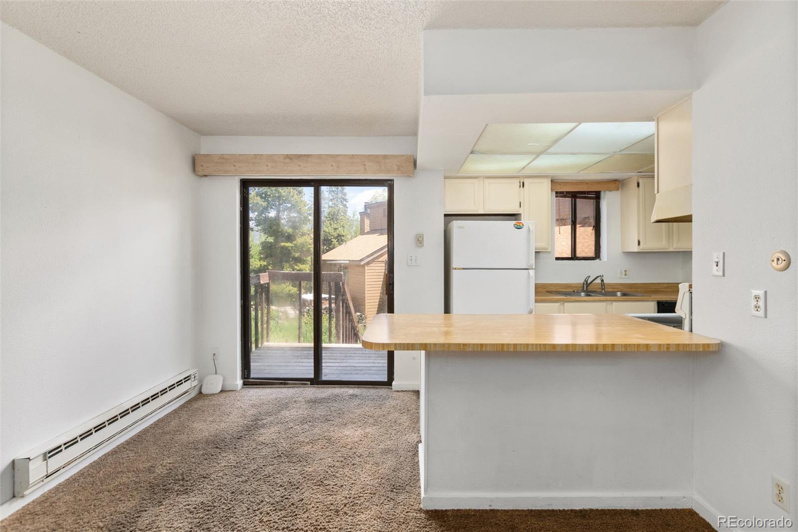 MLS Image #29 for 6922  ryan gulch road,silverthorne, Colorado