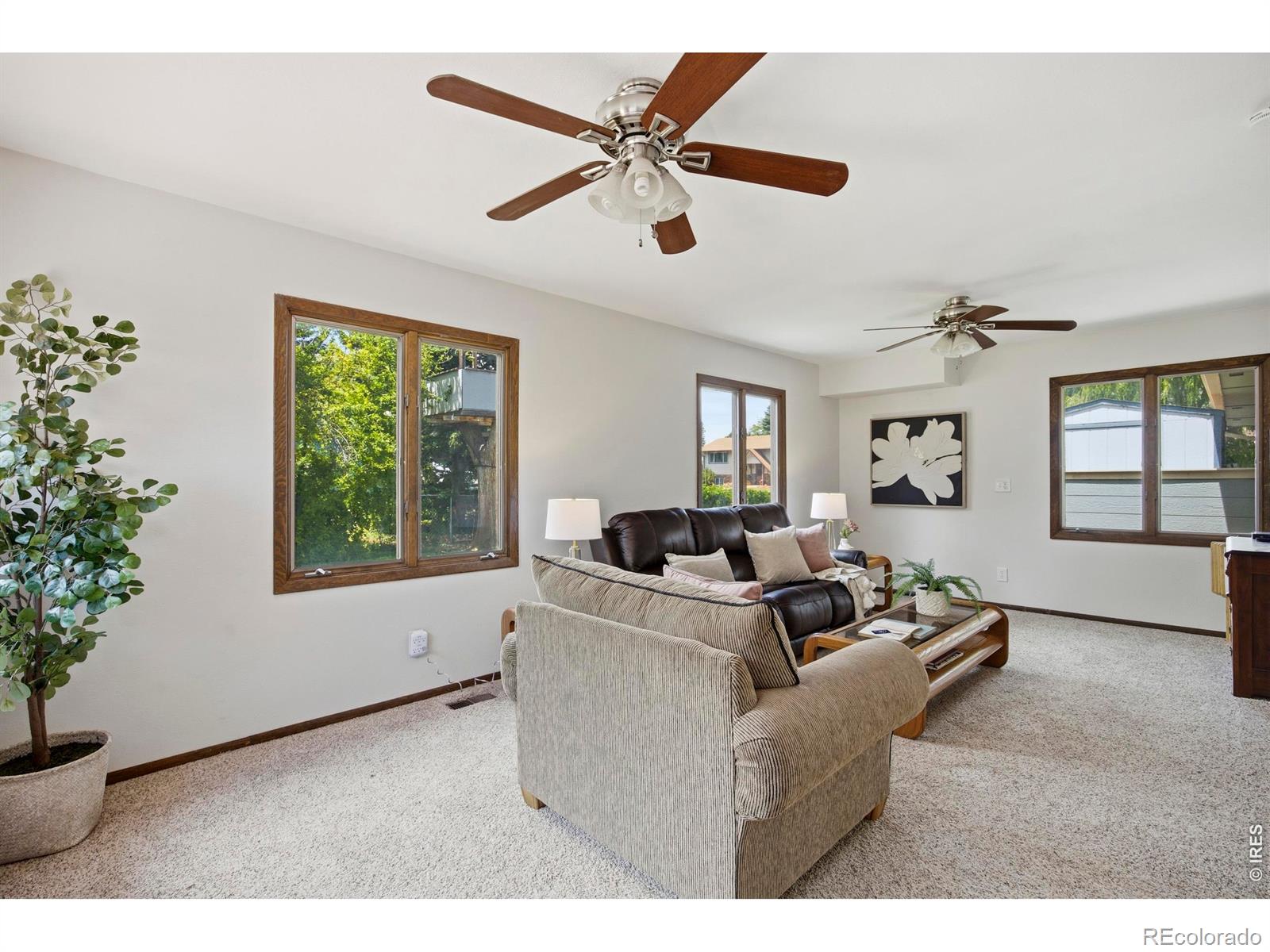 MLS Image #17 for 721 n montview road,fort collins, Colorado