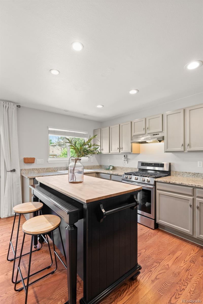 MLS Image #10 for 4883  apollo bay drive,highlands ranch, Colorado