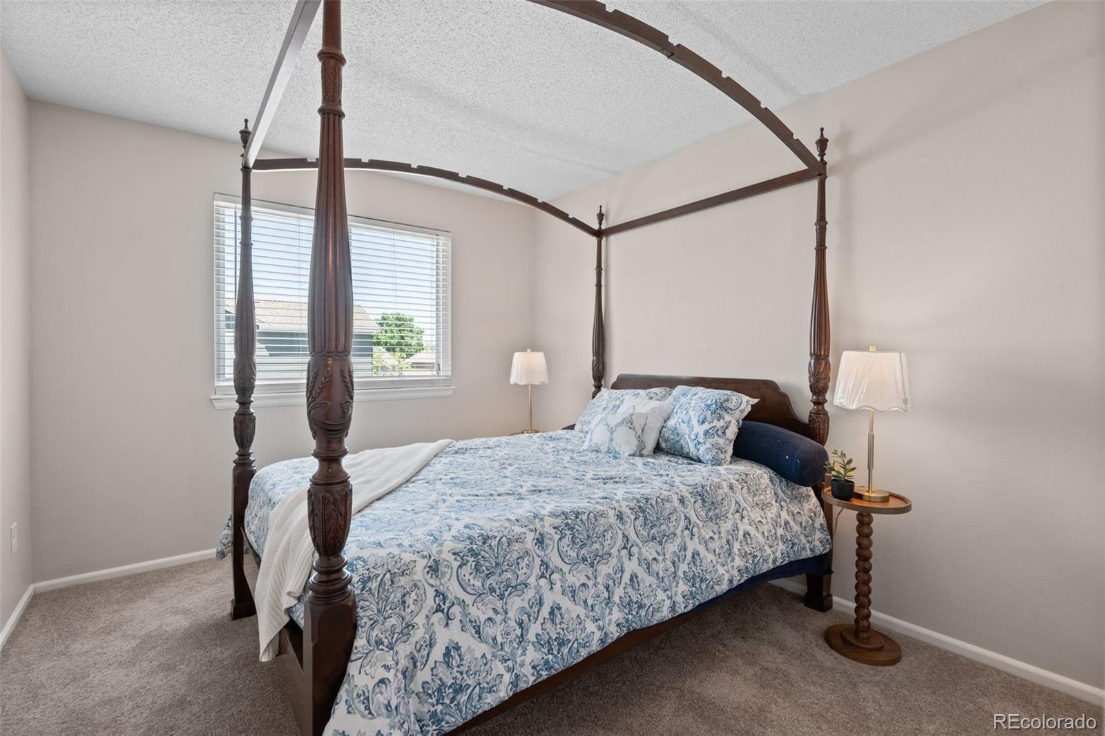 MLS Image #27 for 4883  apollo bay drive,highlands ranch, Colorado