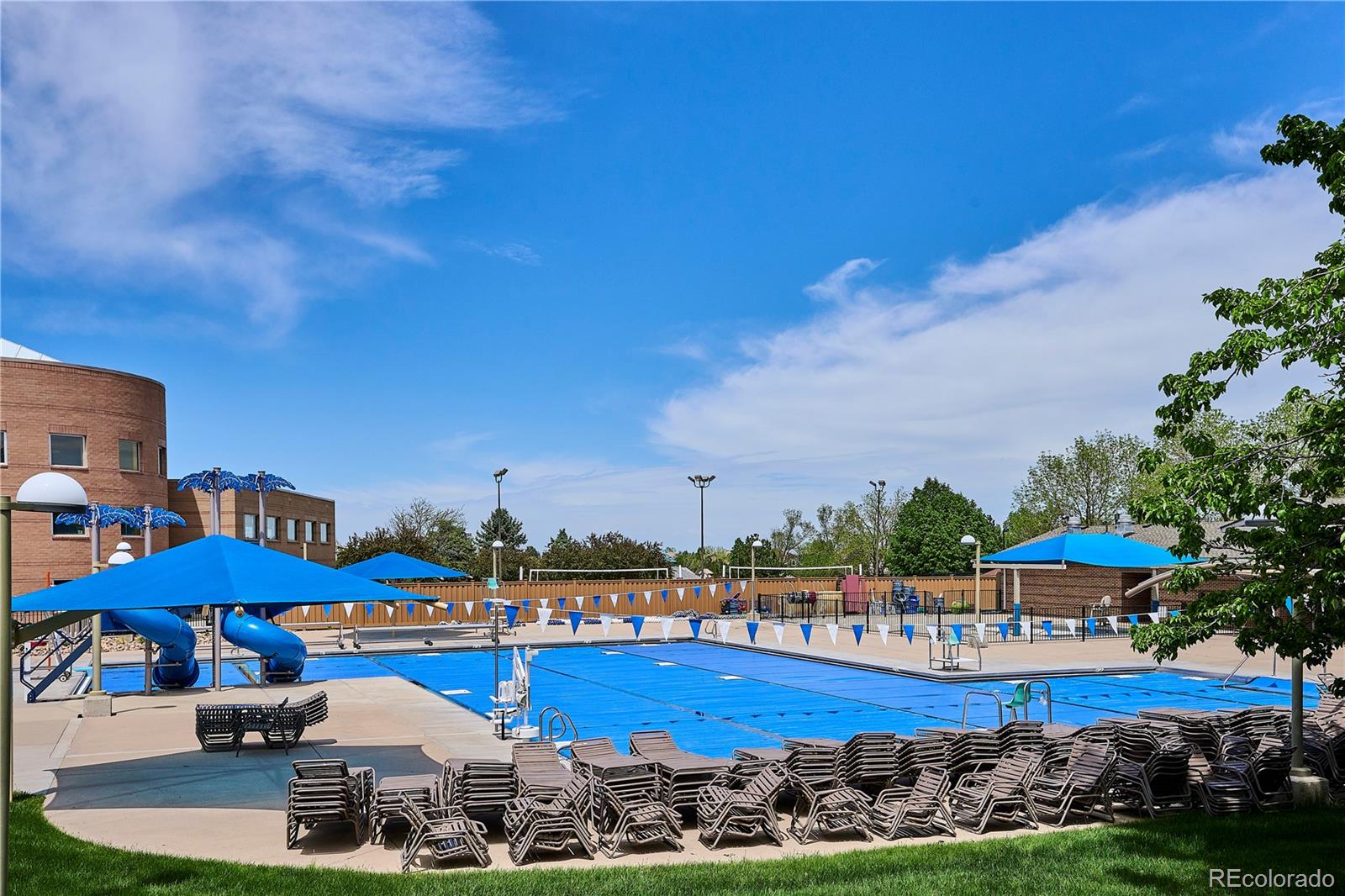 MLS Image #42 for 4883  apollo bay drive,highlands ranch, Colorado