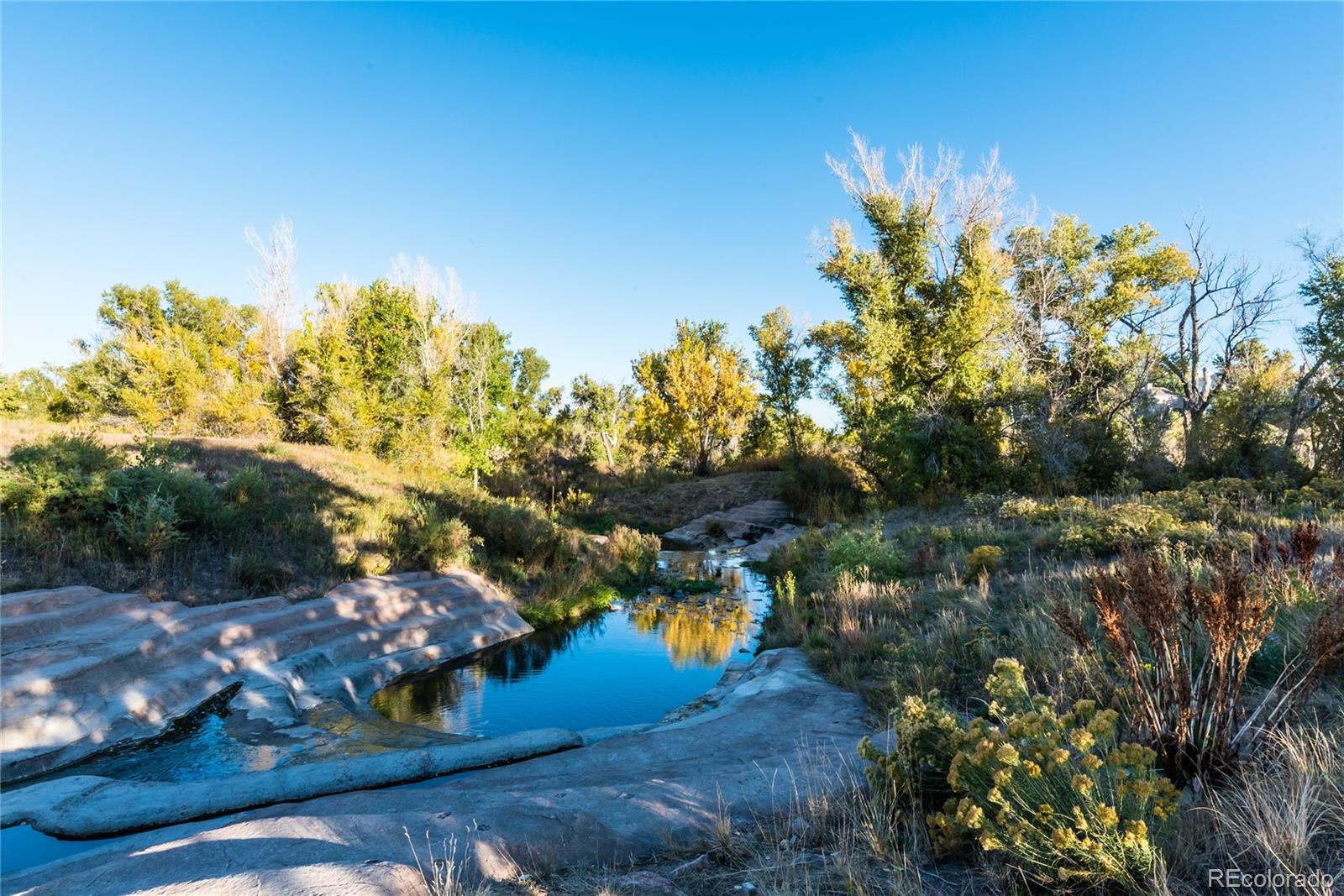 MLS Image #44 for 4883  apollo bay drive,highlands ranch, Colorado