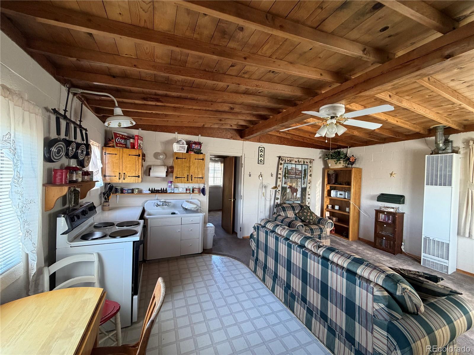 MLS Image #22 for 101  doe street,hartsel, Colorado