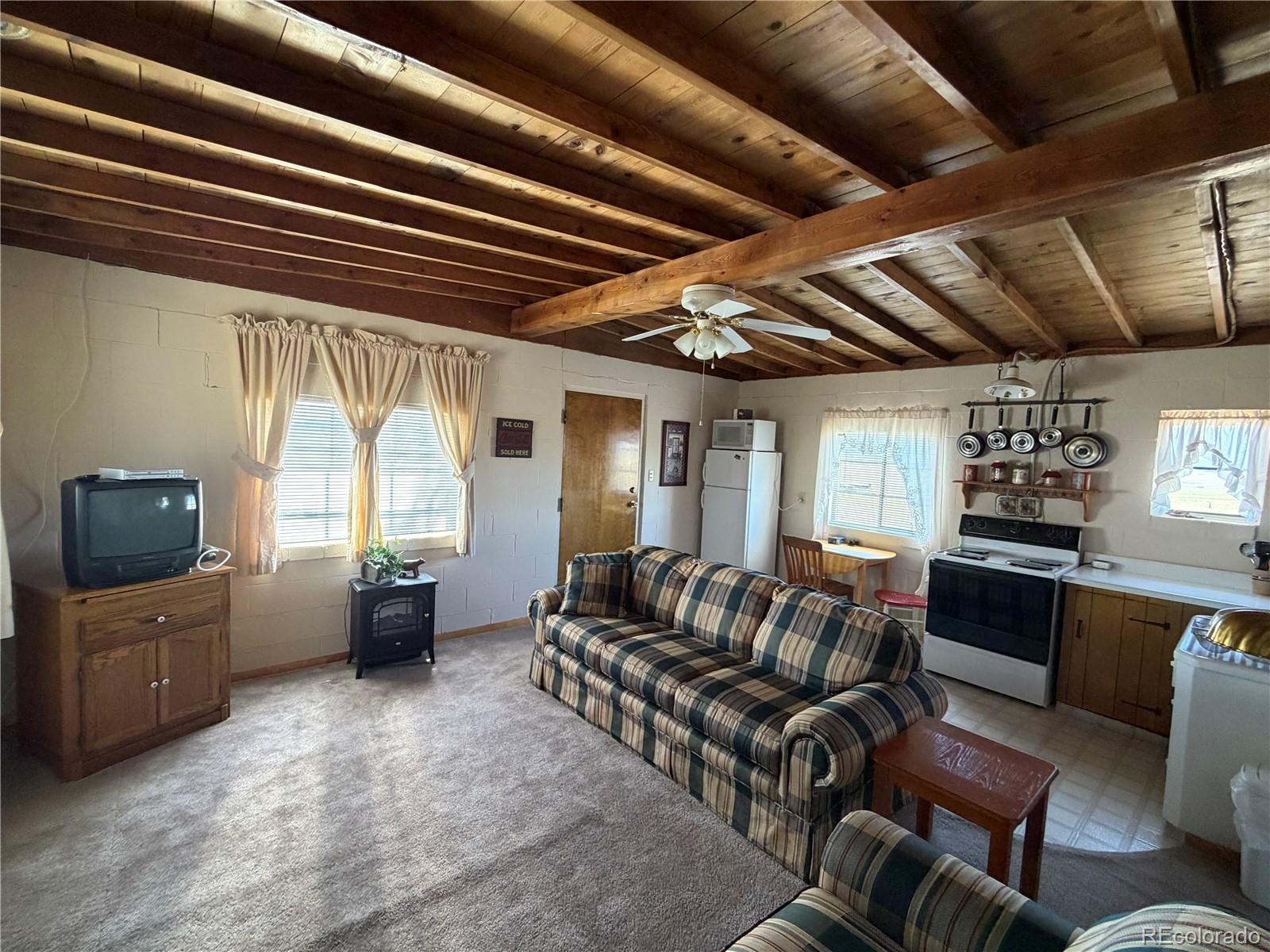 MLS Image #27 for 101  doe street,hartsel, Colorado