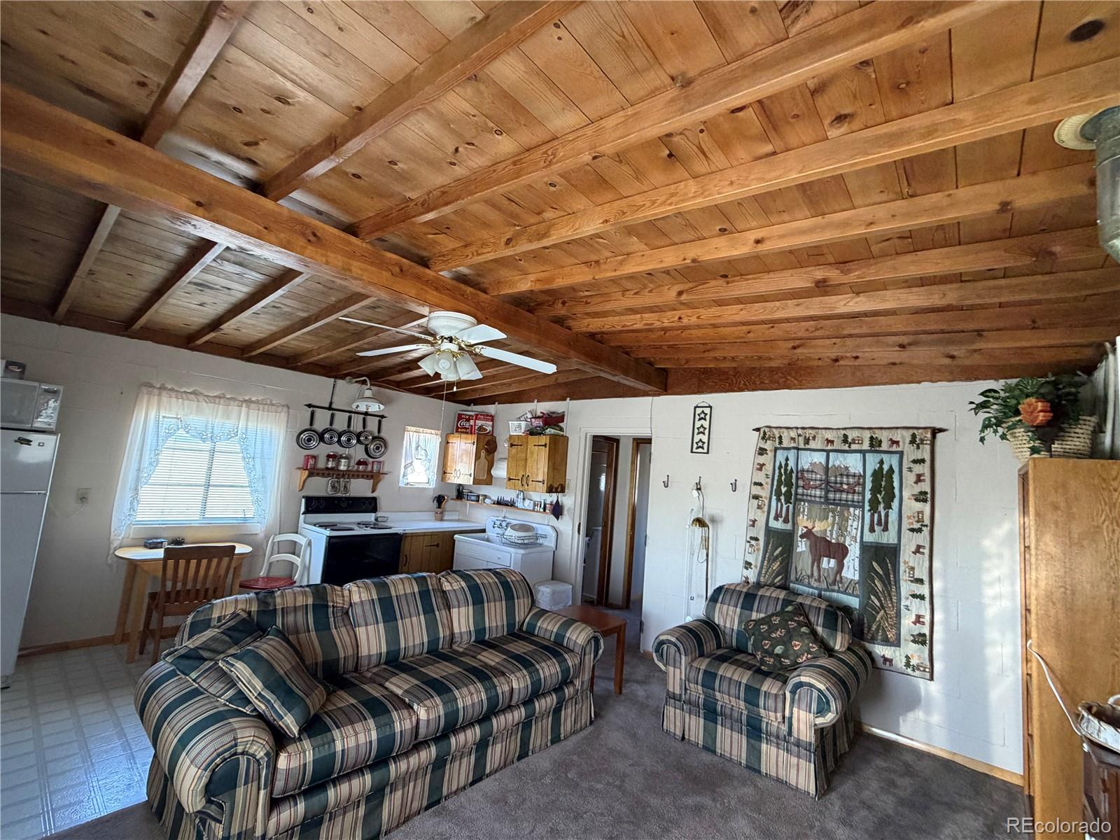 MLS Image #28 for 101  doe street,hartsel, Colorado